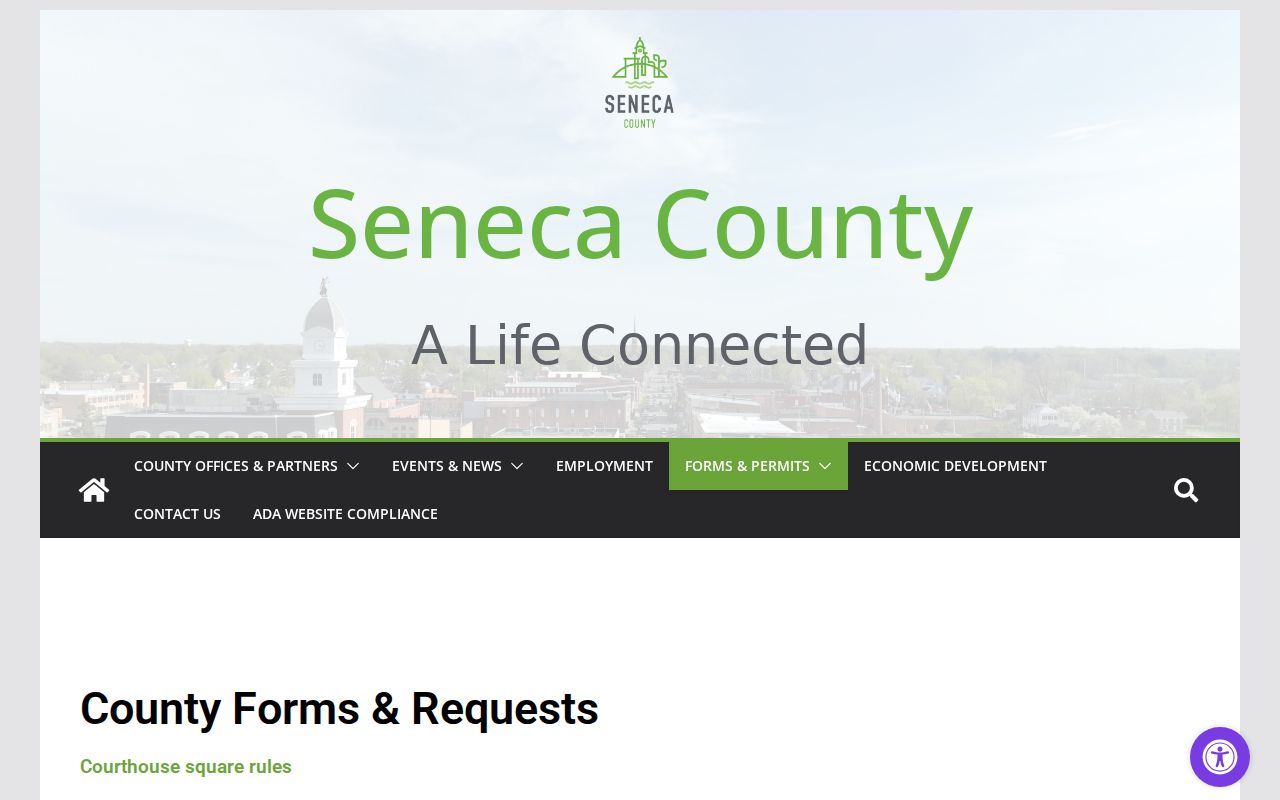 Seneca County court docket forms and public records source
