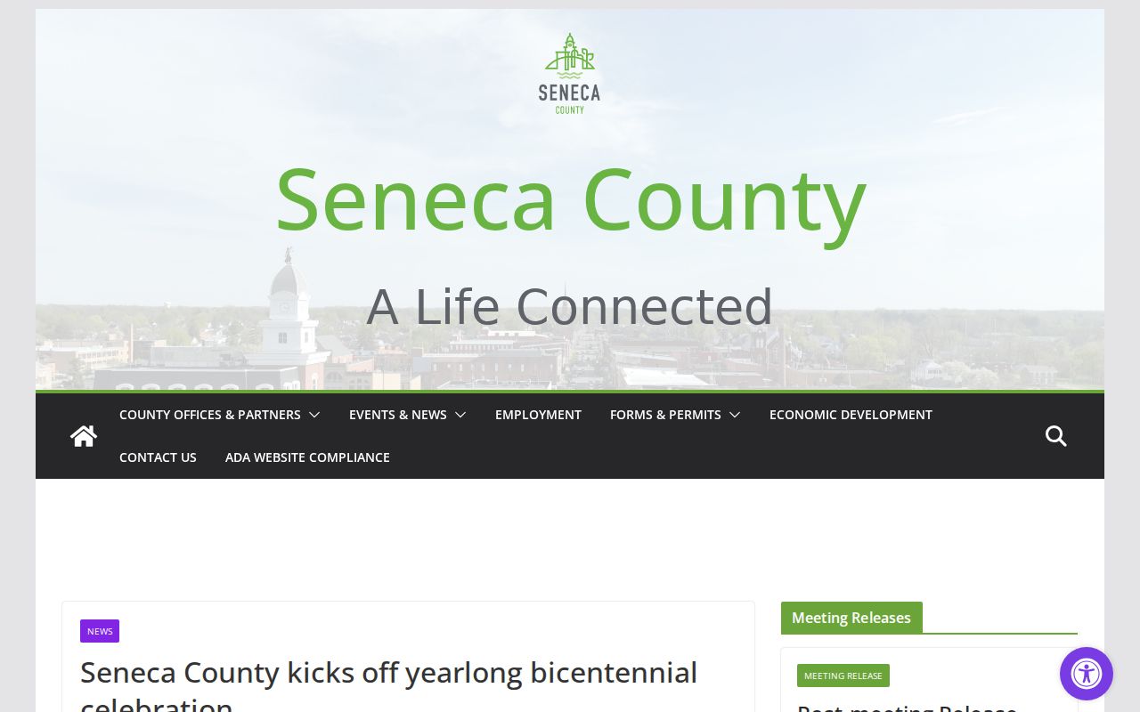 Seneca County court docket history source