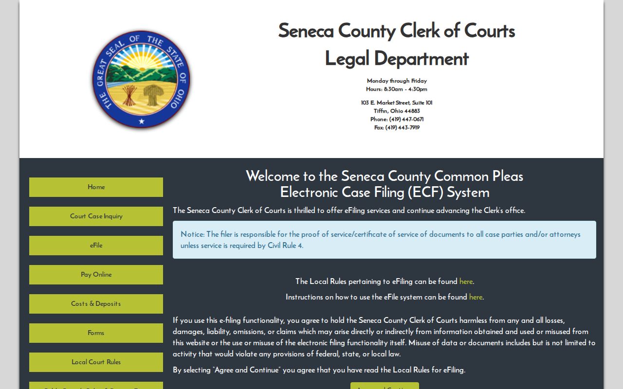 Seneca County Clerk of Courts Common Pleas Electronic Case Filing page